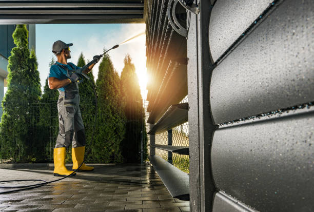 Best Building Exterior Washing  in Fruitland Park, FL